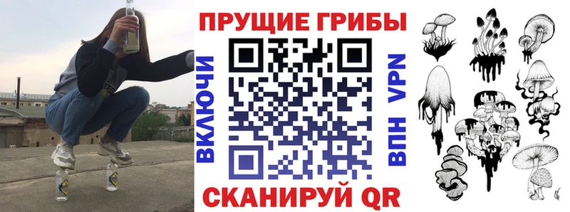 Галлюциногенные грибы Psilocybe  Купить  Белый 